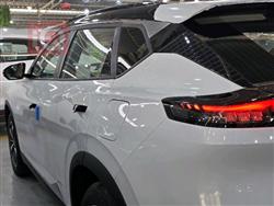 دونج فينج ماج